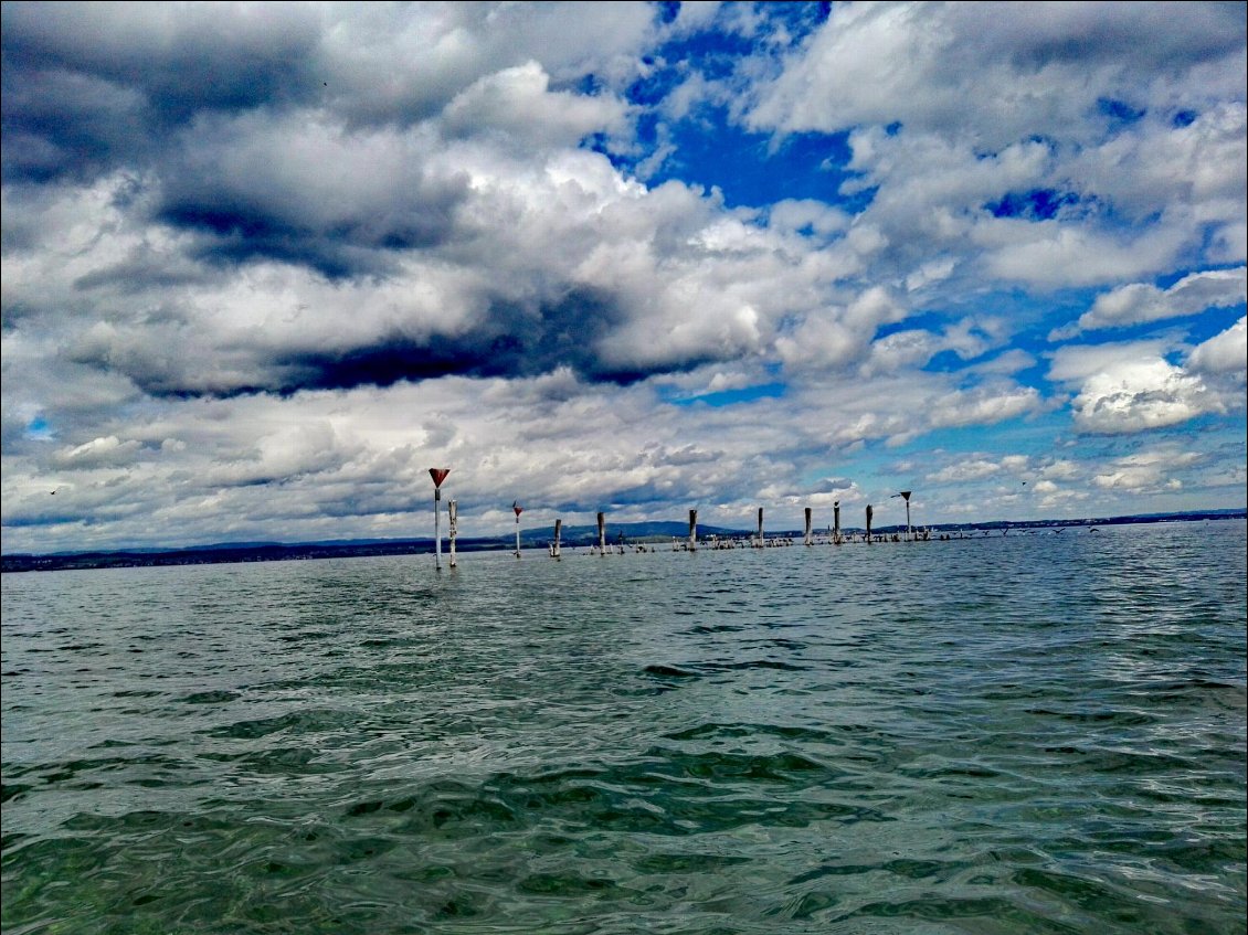 Lac de Constance (CH) (Bodensee)