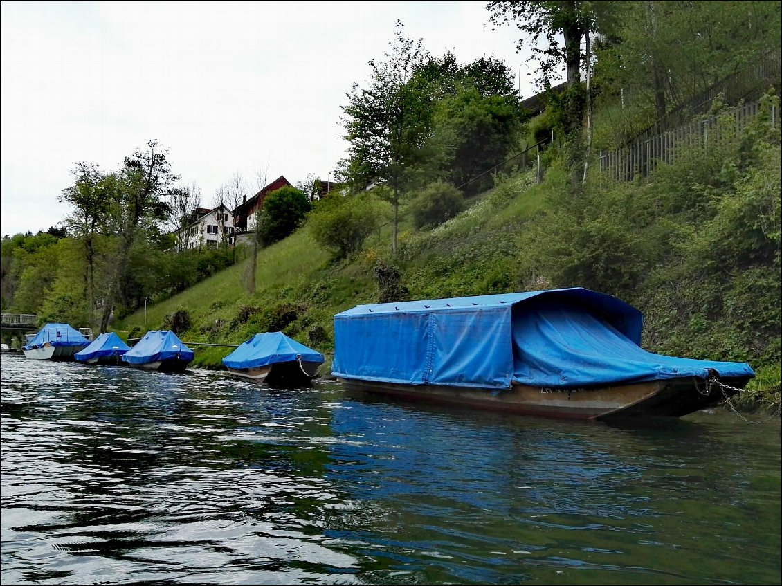 Le Rhin entre l'Allemagne et la Suisse, quelques kilomètres après les chutes du Rhin