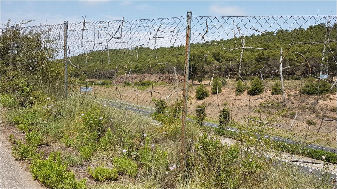 Les croix des pèlerins