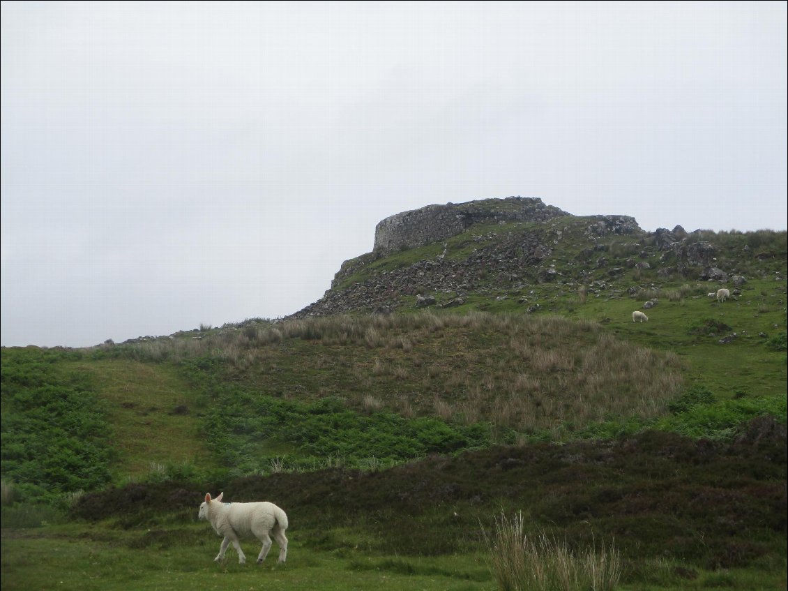 Le broch Dun Baeg. : sorte de tour de l'âge de fer. Celui-ci daterait d'il y a 2000 à 2500 ans.
