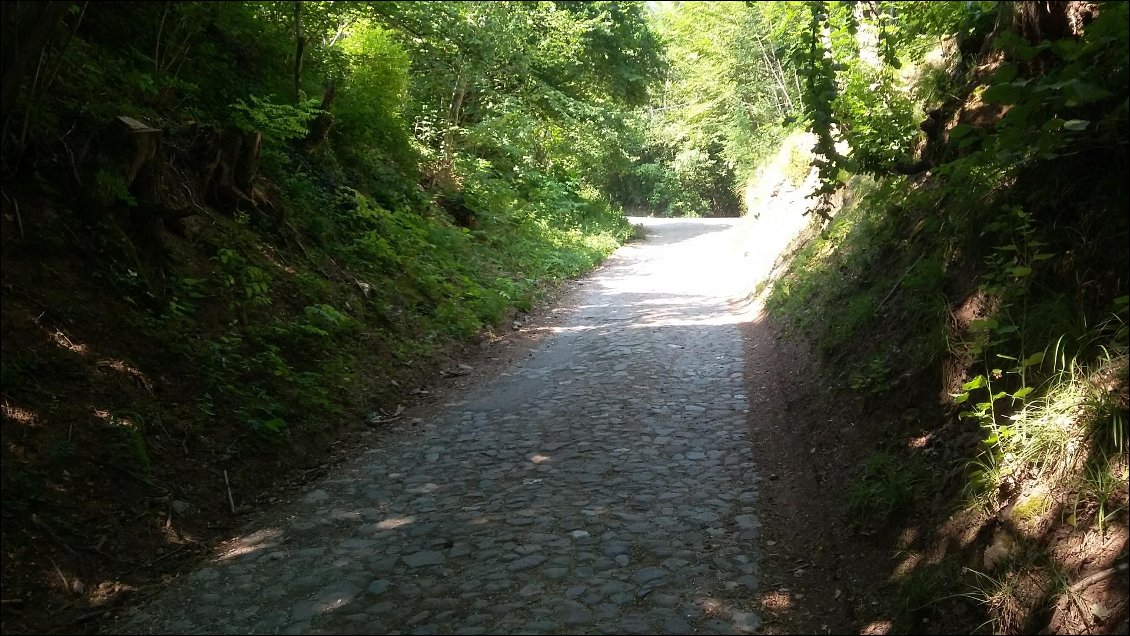 Un joli chemin pavé qui va bcp grimper sauf que j ai pas un vtt électrique comme les autres cyclistes que je croise.