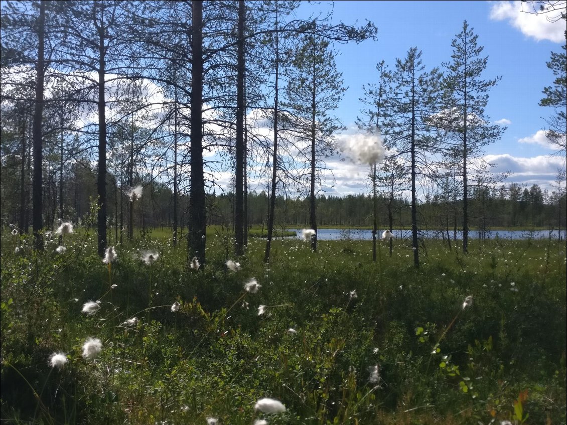 La vue depuis mon bivouac