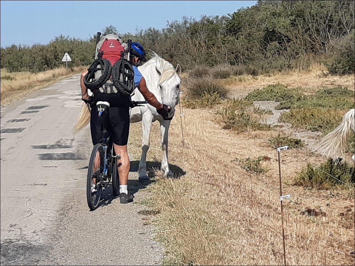 Ben alors,on traine sur la route ?