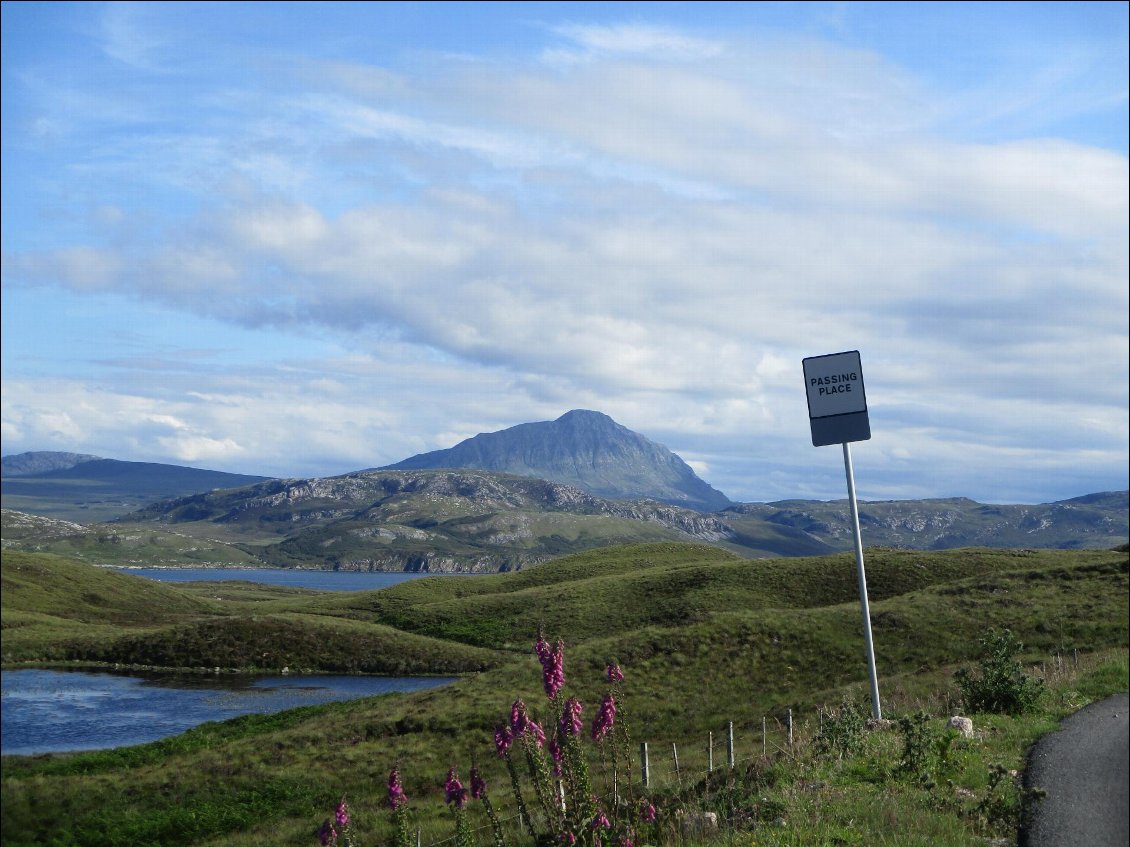 Ben Hope en arrière fond. J'aurais dû appeller ce carnet "à travers Bens, Glens et Lochs" parce que des Bens j'en aurais vu beaucoup.