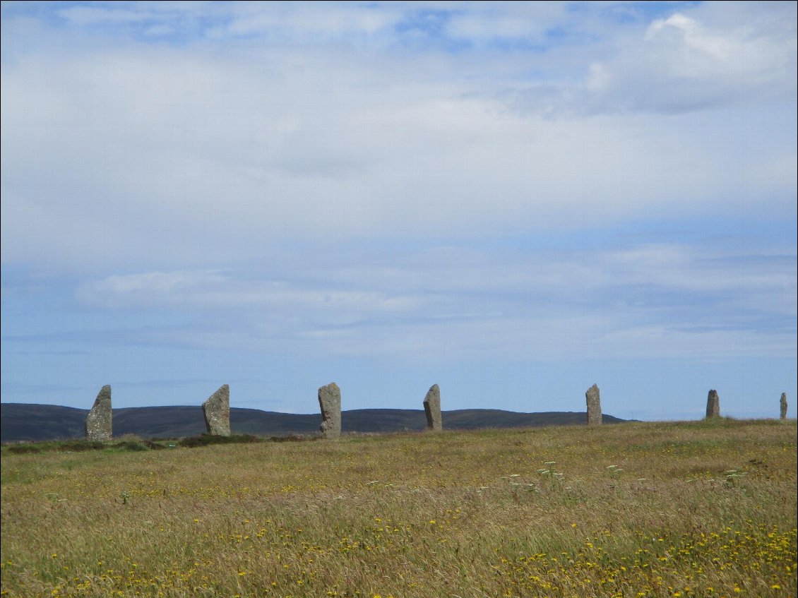 Je passe ensuite sur une étroite bande de terre séparant deux Lochs, dépasse le site de fouille de Ness of Brodgar, avant d'arriver au ring of Brodgar (2700 à 2500 av JC). Ce cercle de pierre est quasi parfait.