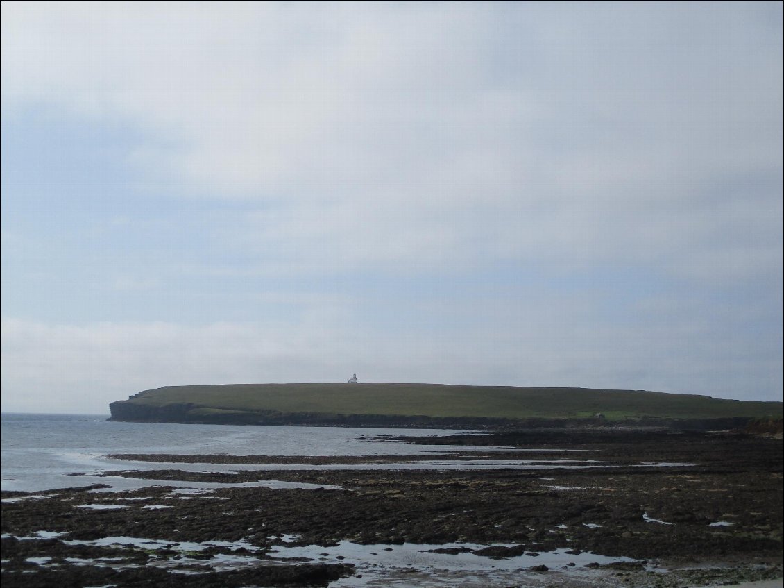 J'attends que la marée descende suffisamment pour passer sur l'île. Et en attendant, j'ai entendu les phoques chanter. It's true, seals are singing. C'est une vieille dame écossaise qui me l'a dit. On dirait une sorte de hululement bizarre. C"est exactement le son que j'avais entendu sur l'île de Barra aux Hébrides. J'imagine qu'ils chantent pour moi. Voilà, cher Ulysse, je viens de découvrir tes sirènes et leur chant.