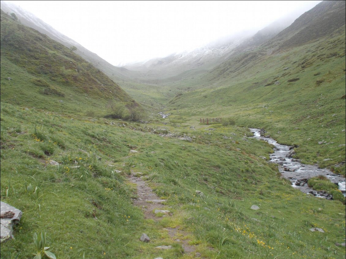 Et c'est parti vers le col d'Ayous !