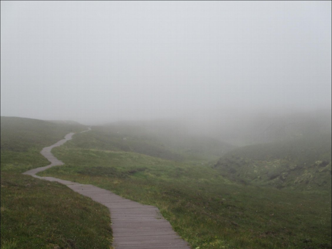 J'emprunte le chemin qui mène au bout du bout à la pointe Herma Ness. La brume tombe.