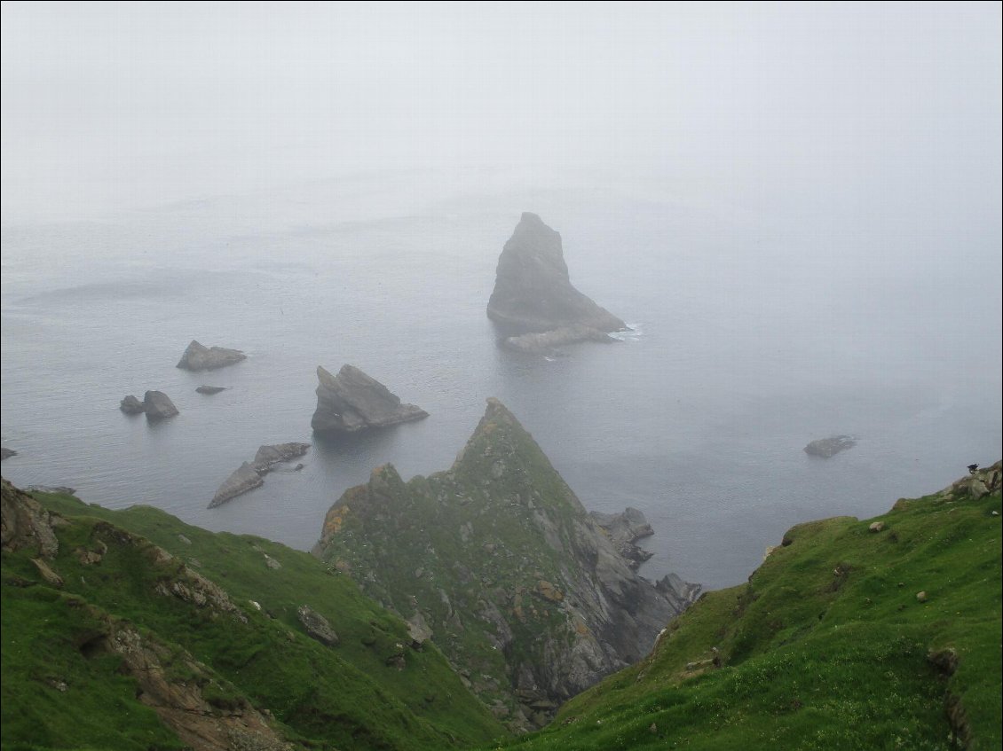 The great grey view ! Il y a un phare quelque part, je ne l'ai pas vu. L'ile Flugga non plus.