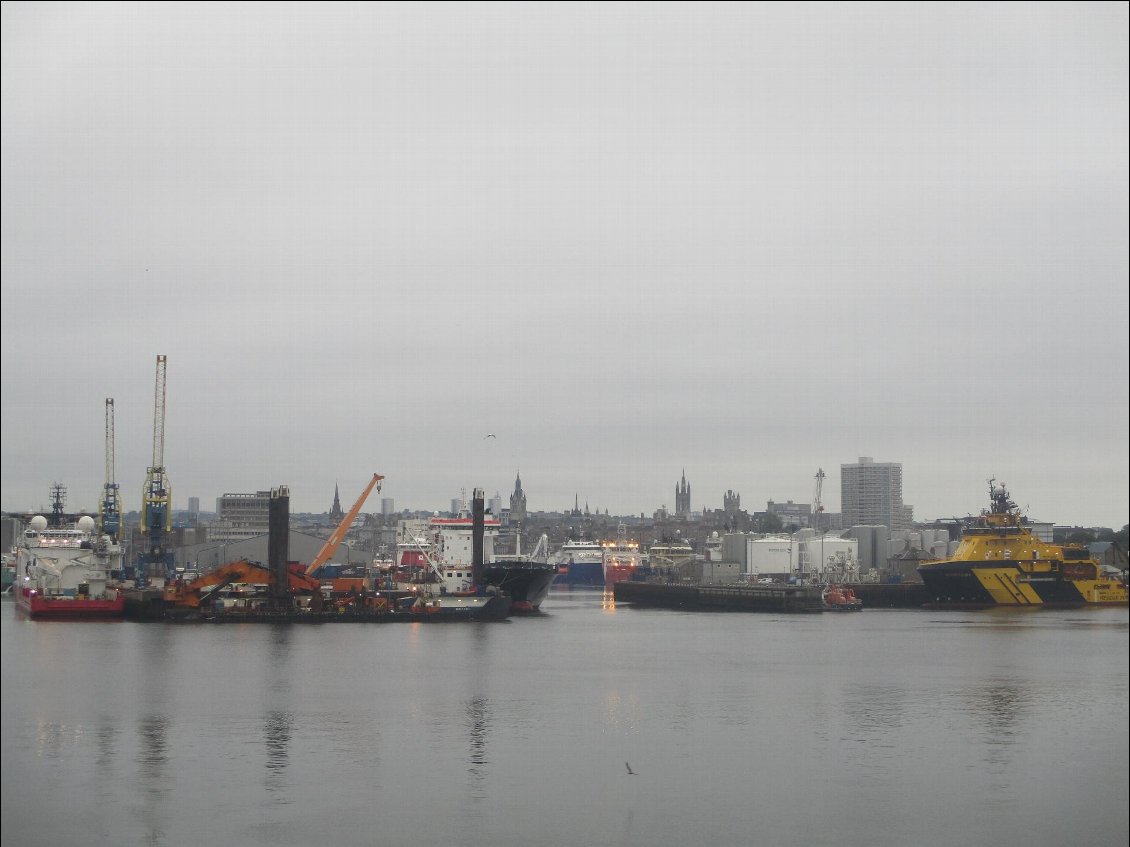 Dans le port d'Aberdeen, ya une cycliste qui pleure ... Enfin presque.
La transition est rude. Comment trouver une loutre dans tout ce béton ?