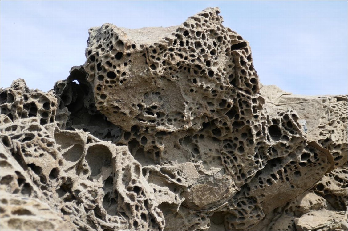 Roche en nids d'abeilles près du phare du cap Fabaritx