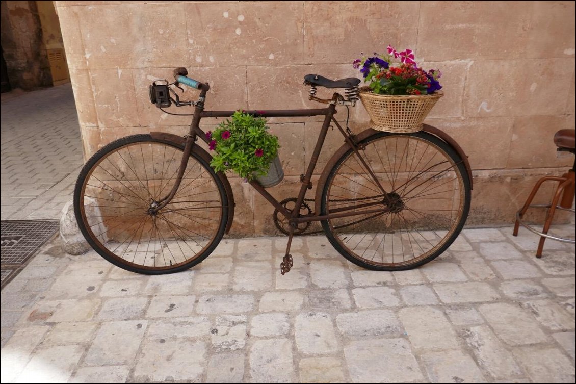 On troque nos vélos ?