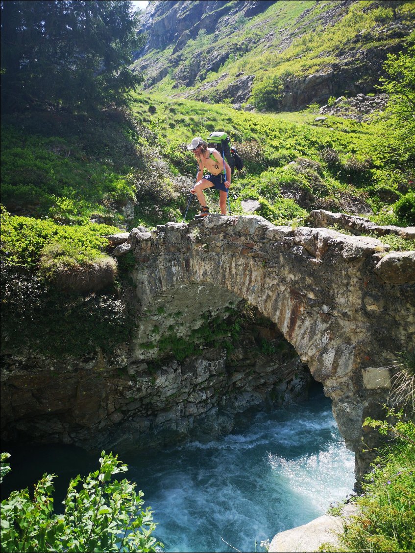 Pont sur le Vénéon