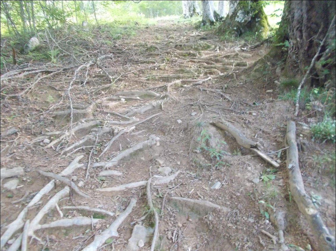 On n'a pas l'impression, mais ça grimpe sec !