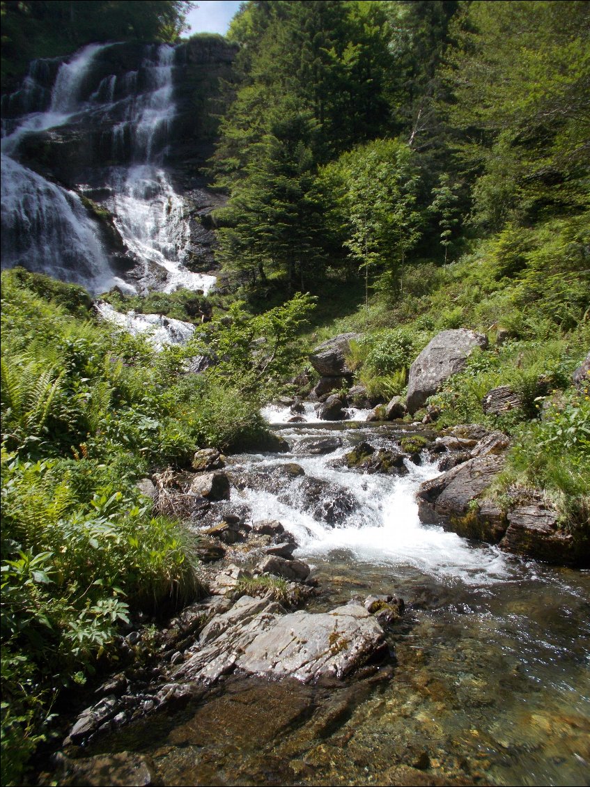 Allez, je vous remets la même prise les pieds dans l'eau !