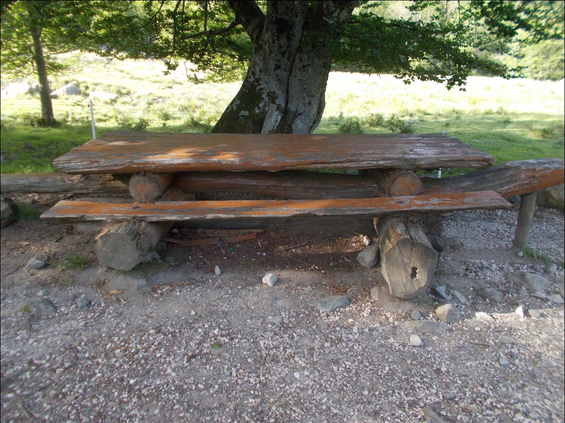 Table en bois massif !