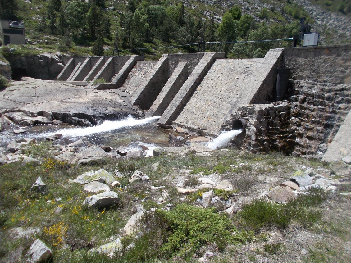 Libérez les eaux !