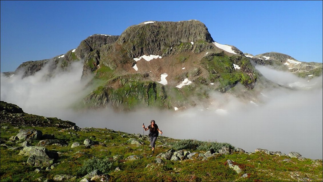 Au-dessus de 1000m d'altitude, la forêt laisse place à un alpage accueillant