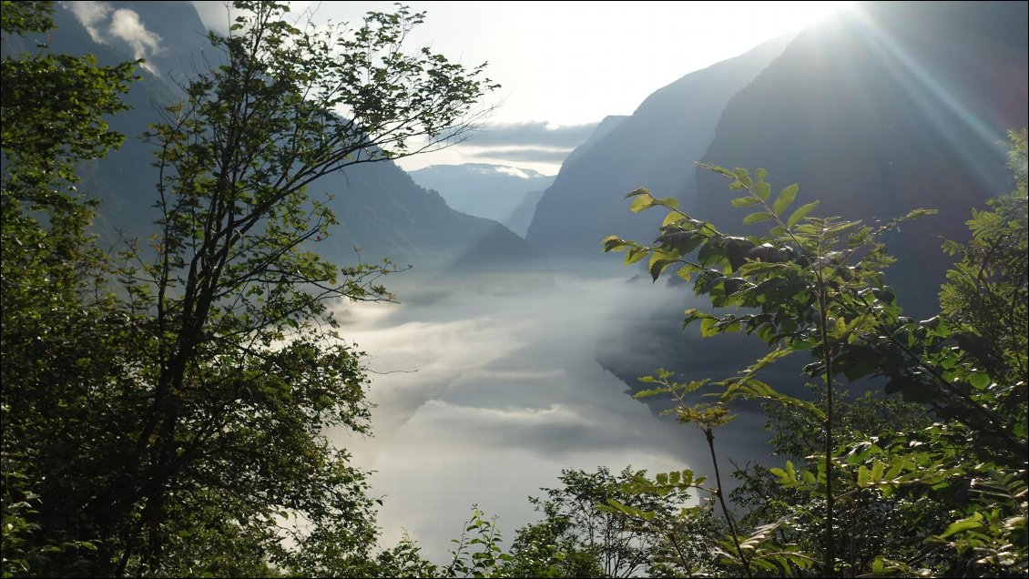 Quelle belle ambiance matinale après les pluies de la veille !