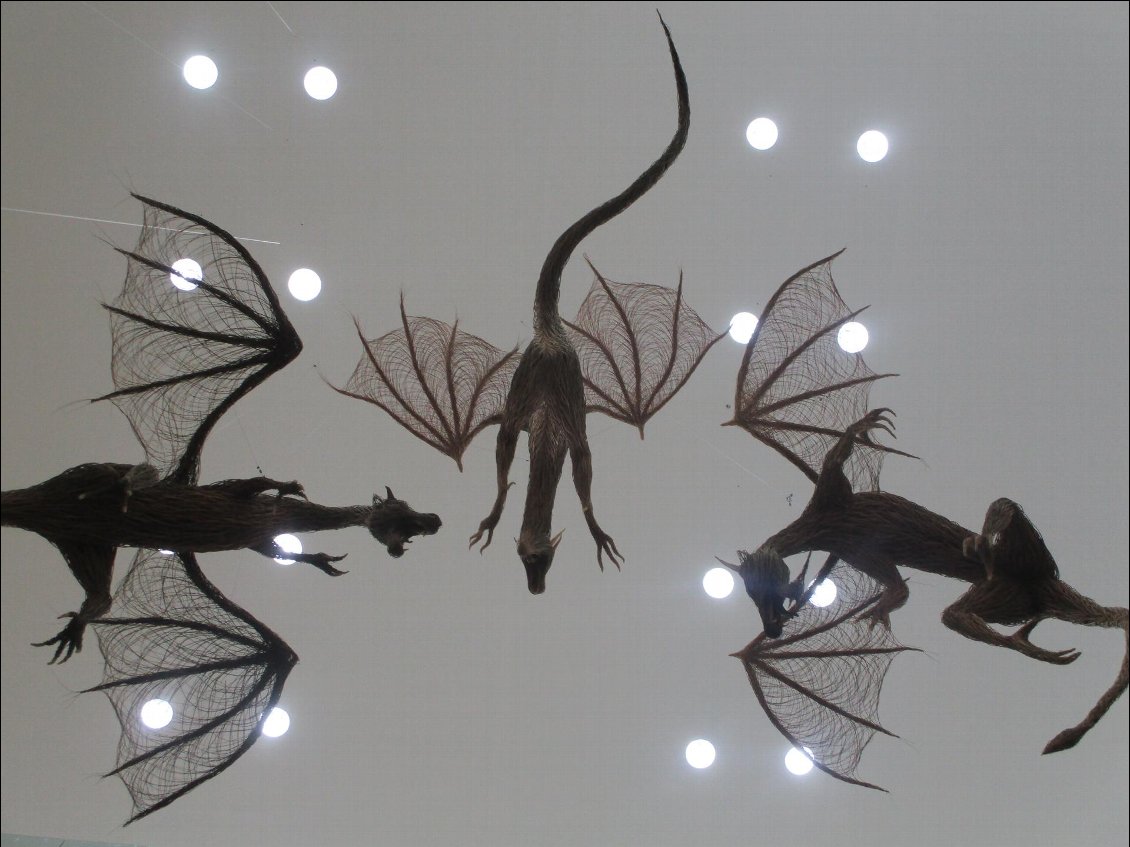 Suspendus dans le museum de Belfast, 3 dragons tressés en tiges de saule. On peut trouver un trône de saule, à l'entrée aussi. Eh oui, je suis de retour au pays de "game of thrones"