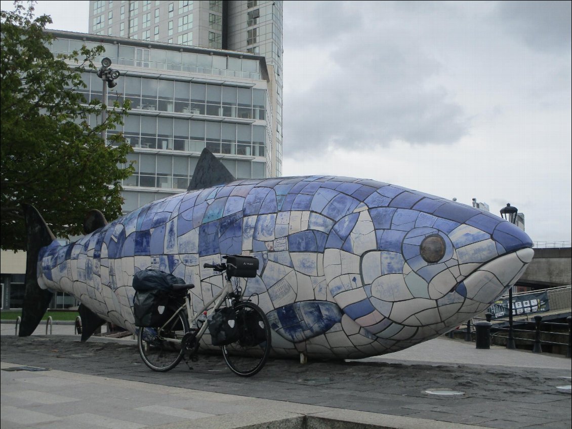 The big fish and the small bike.