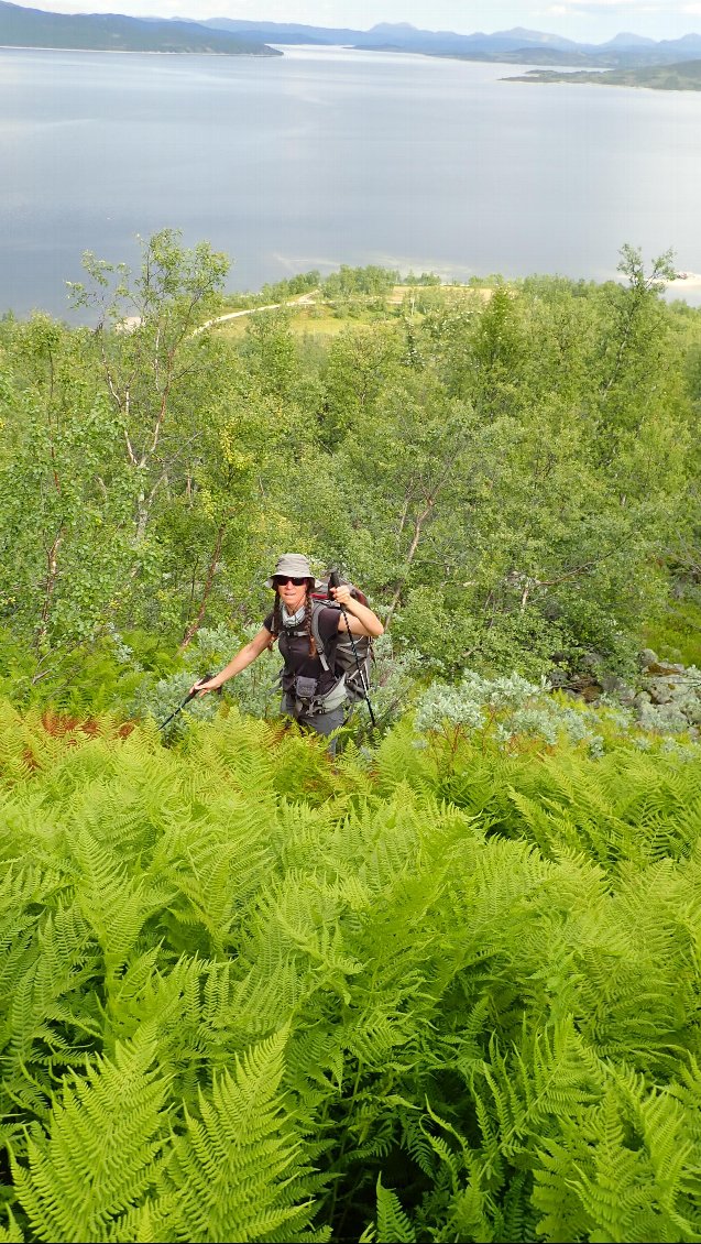 Ambiance jungle au début de la montée, les insectes seront aussi de la partie !