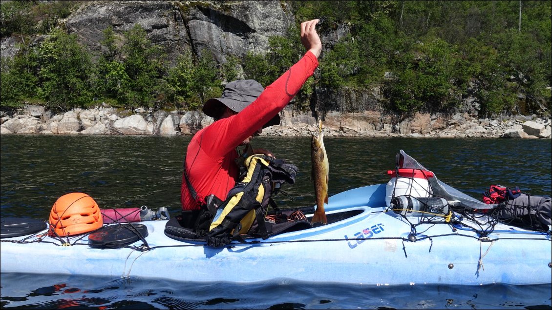 Le Mosvatn est très poissonneux, on pêche peu, mais là on laisse juste traîner un leurre une heure et on attrape 3 beaux poissons. Miam !