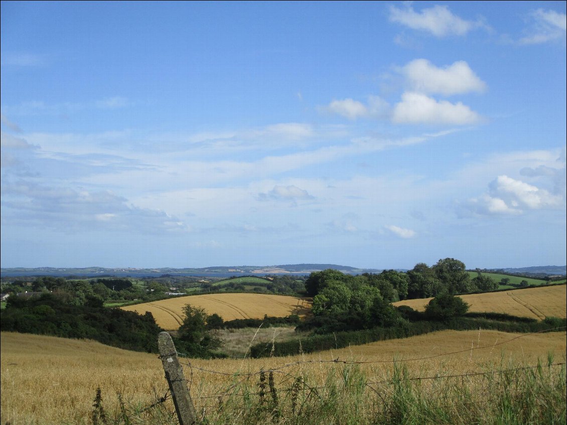 La côte Est de l'Irlande est beaucoup plus facile à pédaler que la côte Ouest. La campagne est vallonnée et le dénivelé gentillet.