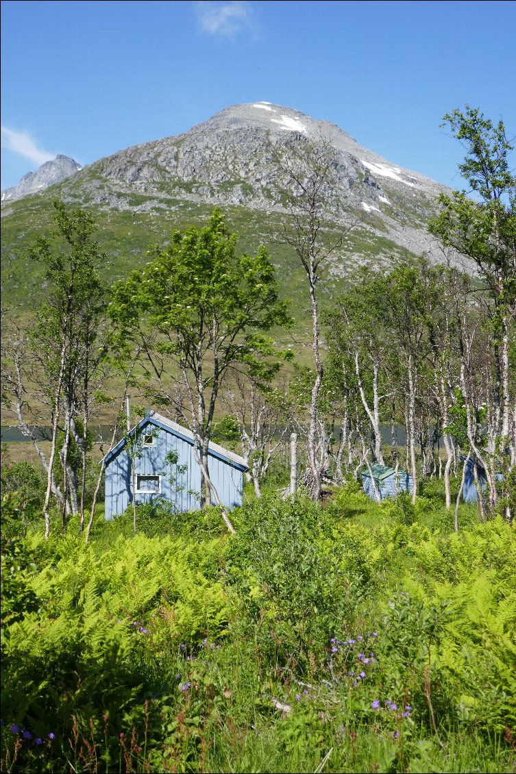 Sur l'île de Kvaloy