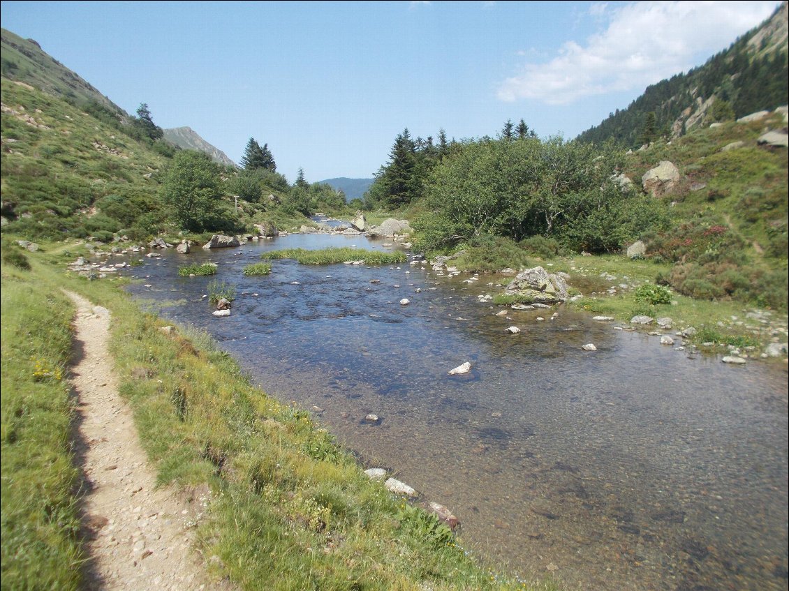 Petit ruisseau grouillant de vie dans la descente vers Mérens.