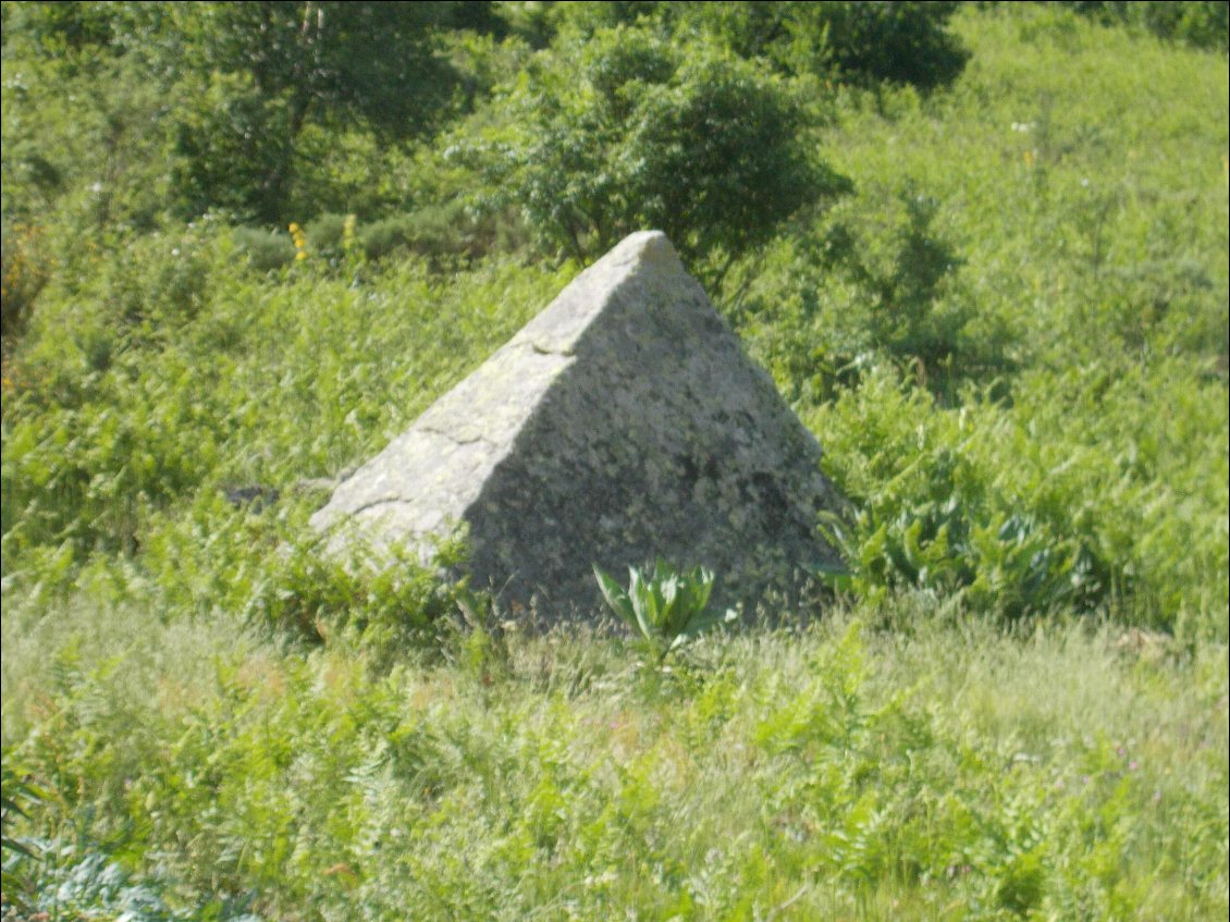 Vaisseau extraterrestre enfoui ou sommet d'une pyramide oubliée ?