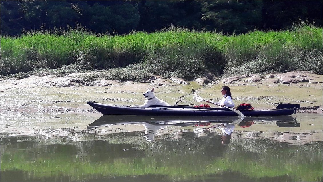 A marée basse, il est impossible de sortir des kayaks;