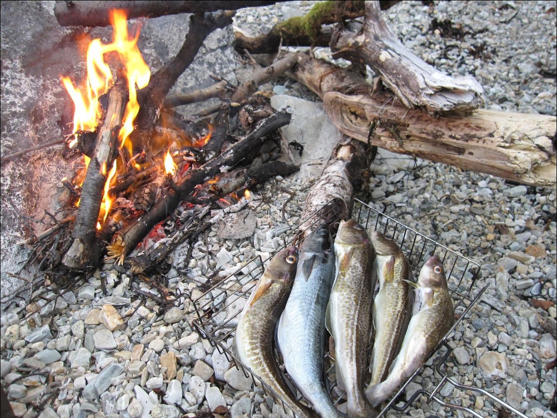 Pêche fructueuse en Norvège
Photo : Carnets d'Aventures