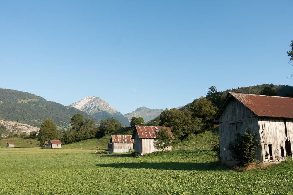 Les grangettes de la Compote