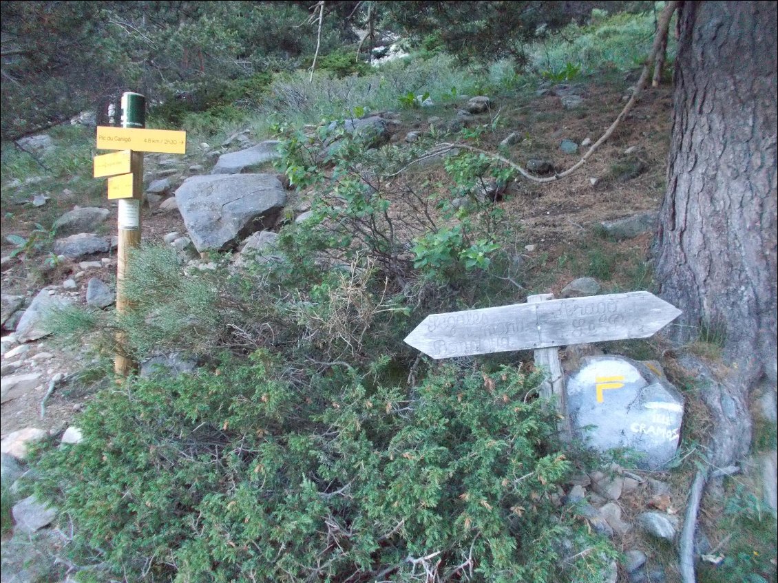 C'est là qu'il faut choisir : pour la Canigou c'est à droite !