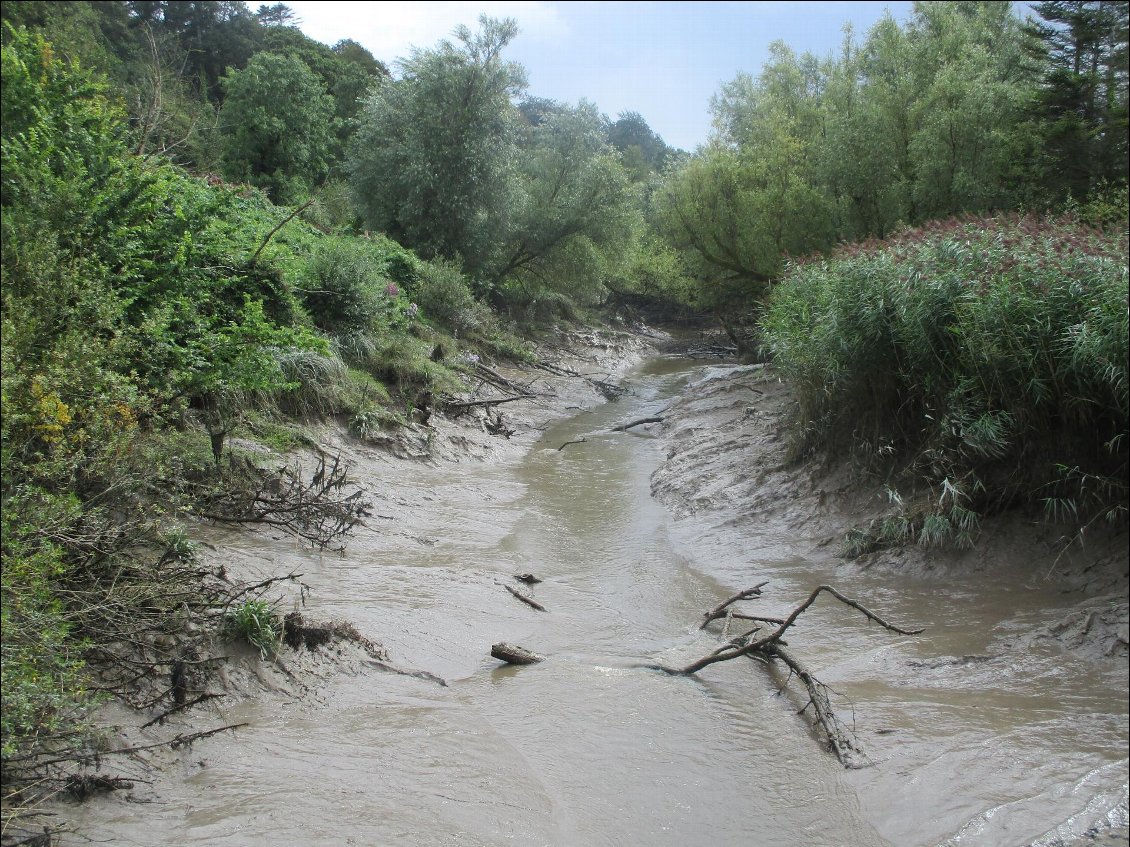 Petit ruisseau se jetant dans la Suir, par marée basse.