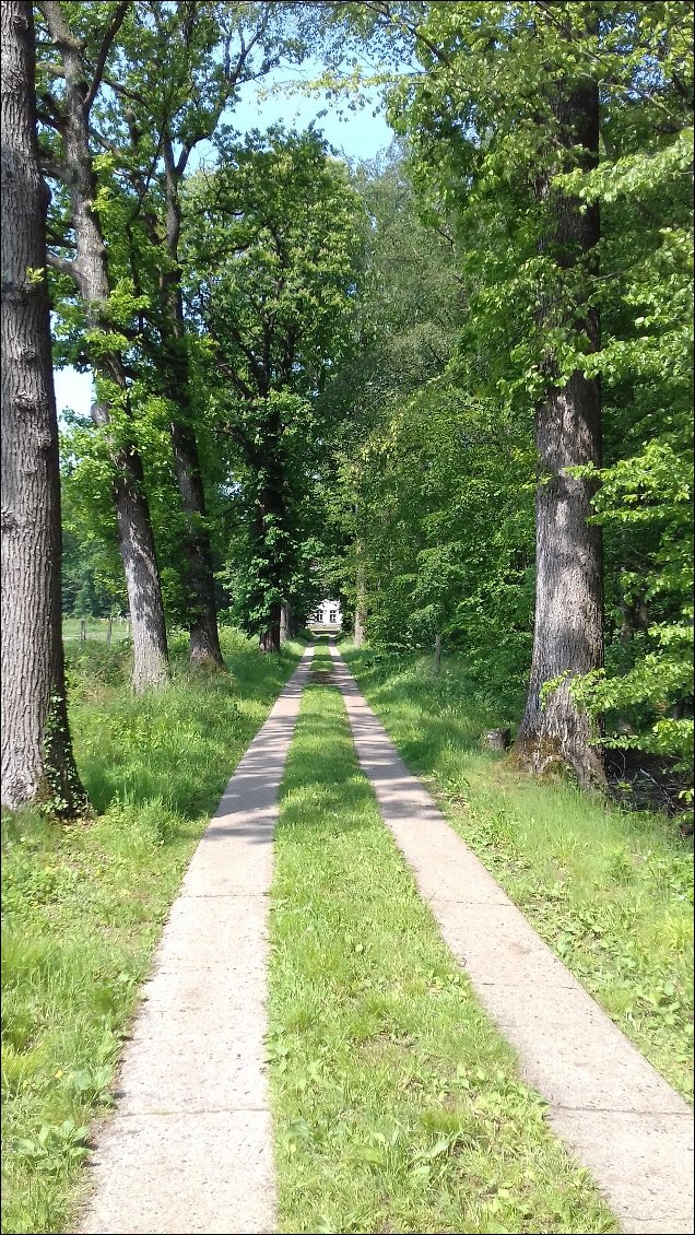 Chemin en Allemagne