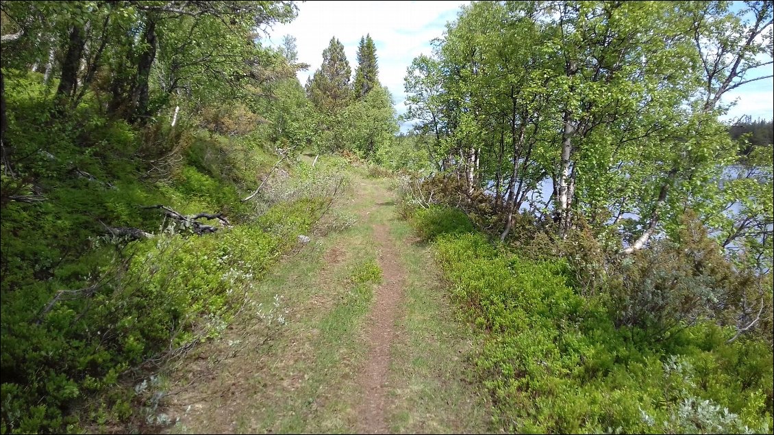 Piste 