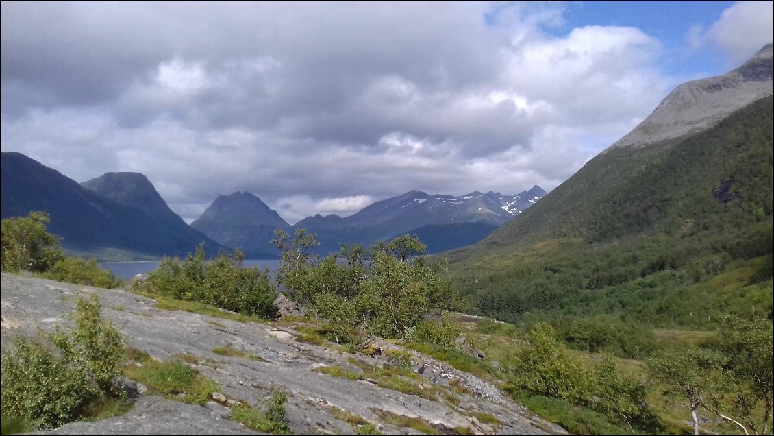 Montagnes et fjords