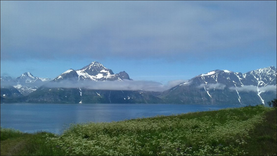 Lyngfjorden au reveil