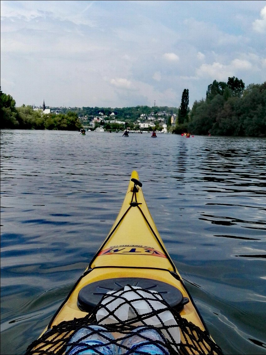 Coblence (DE). Kayakistes sur le Rhin