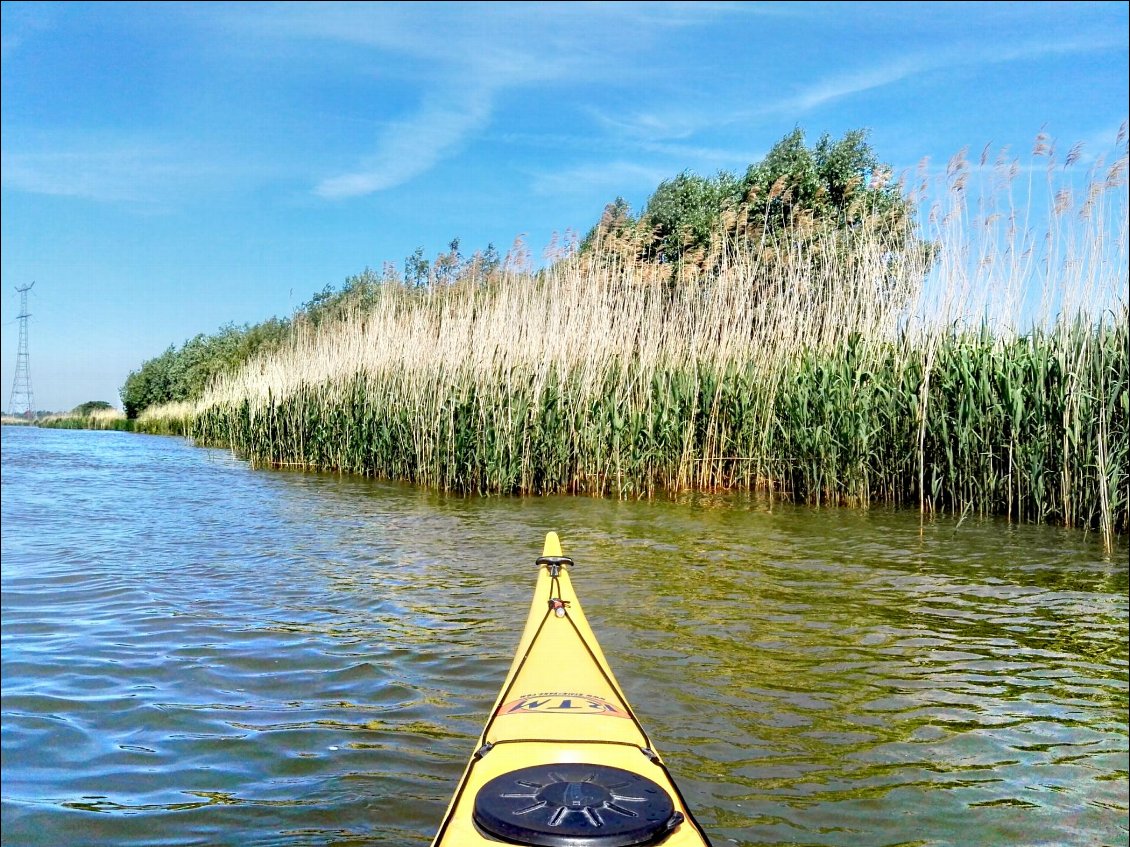 Parc naturel de Biesbosch