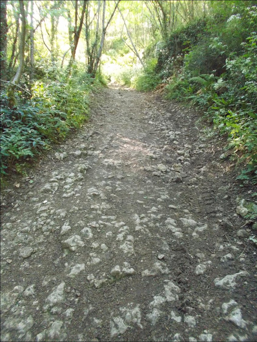 ... ou à l'ombre.