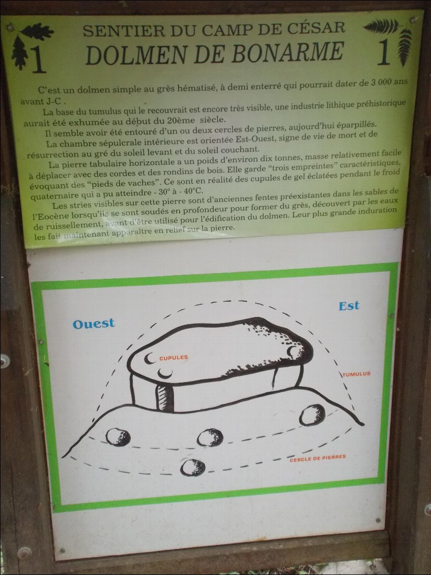 Oui, mais durable !