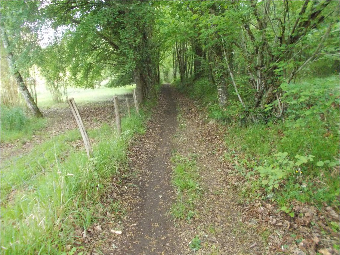 Promenons-nous dans les bois !
