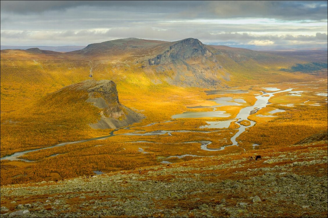 Superbes couleurs automnales dans le parc national du Sarek, Laponie suédoise.
Photo [url=http://guillaume-hermant.piwigo.com]Guillaume Hermant[/url]