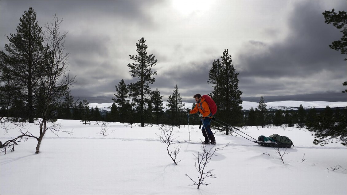 Ski pulka en Laponie finlandaise, parc national Urho Kekkosen
Photo : Augustin Le Rasle