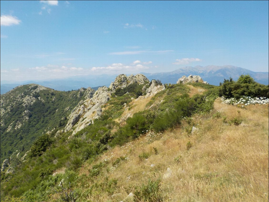 J4. Le roc de France ou roc de Frausa (1450 m). Quelques passages de blocs et de ronces que j’ai jugés délicats à la descente, car c’était la première fois que je m’écartais des sentiers classiques. Avec le recul je peux dire aujourd’hui que ce n’était qu’un timide aperçu des jours à venir :-)