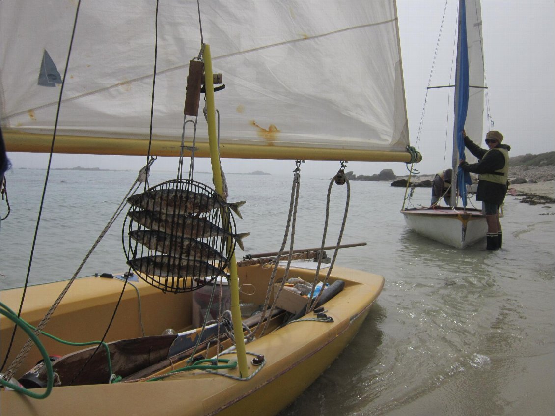 Vive la pêche à la traîne !!!