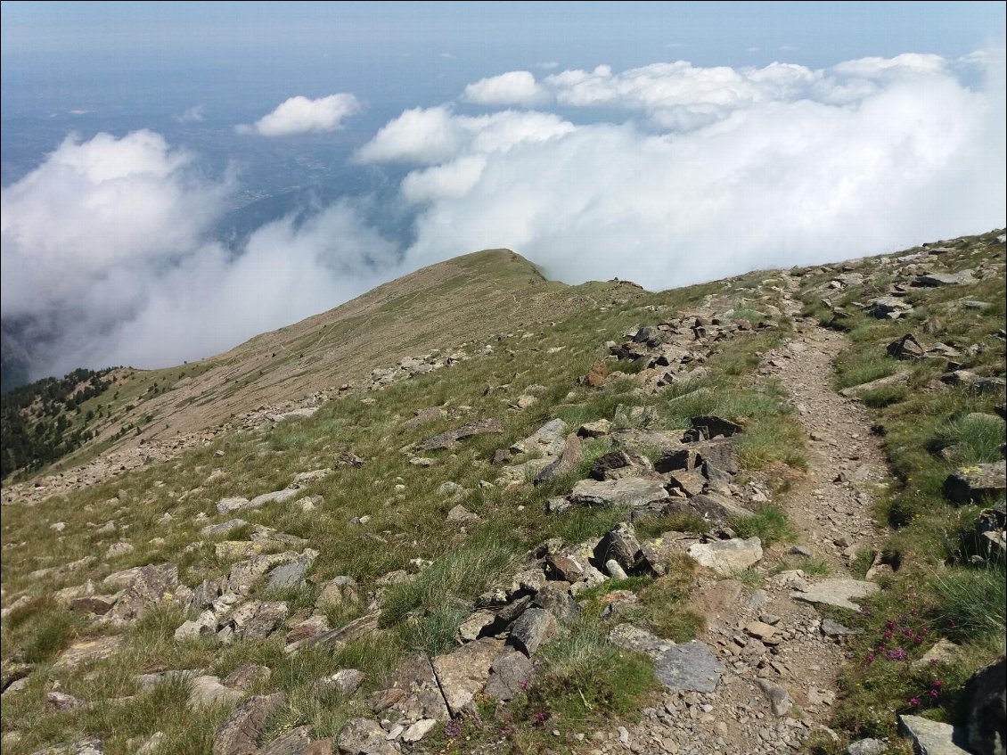 J7. Ascension par la crête du Barbet.